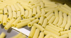 Mypasta Ltd