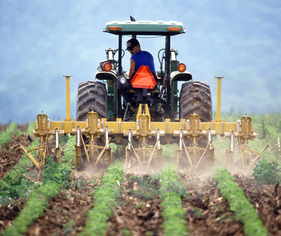 Les bonnes pâtes proviennent d’entreprises agricoles productrices de blé